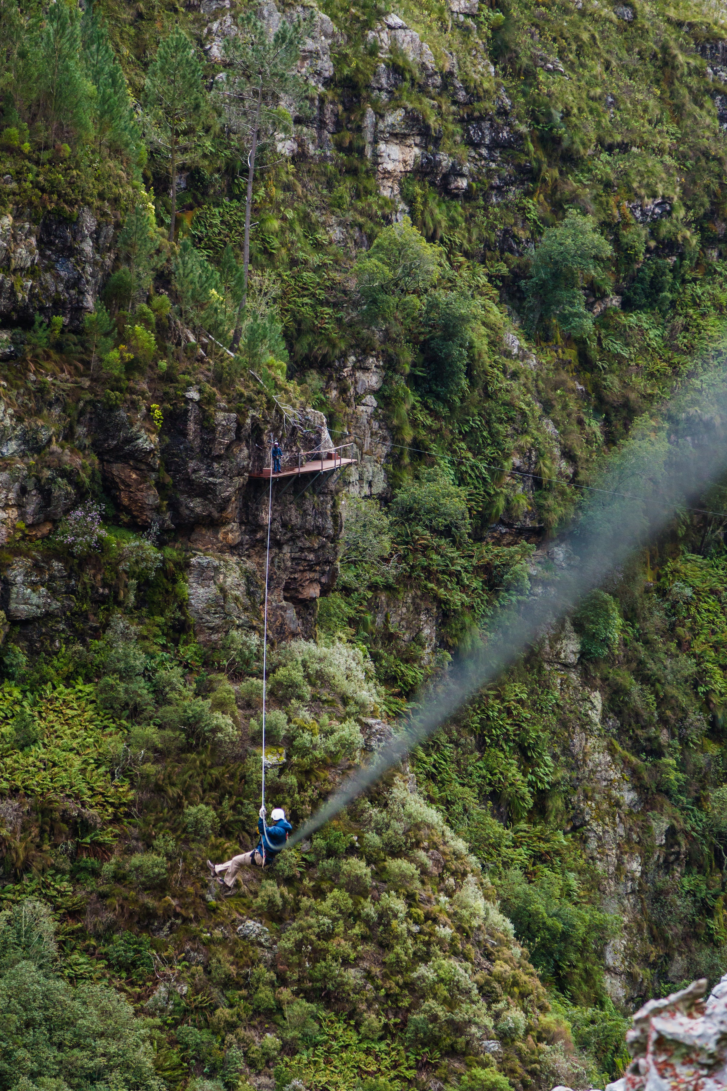 Cape Canopy Tour