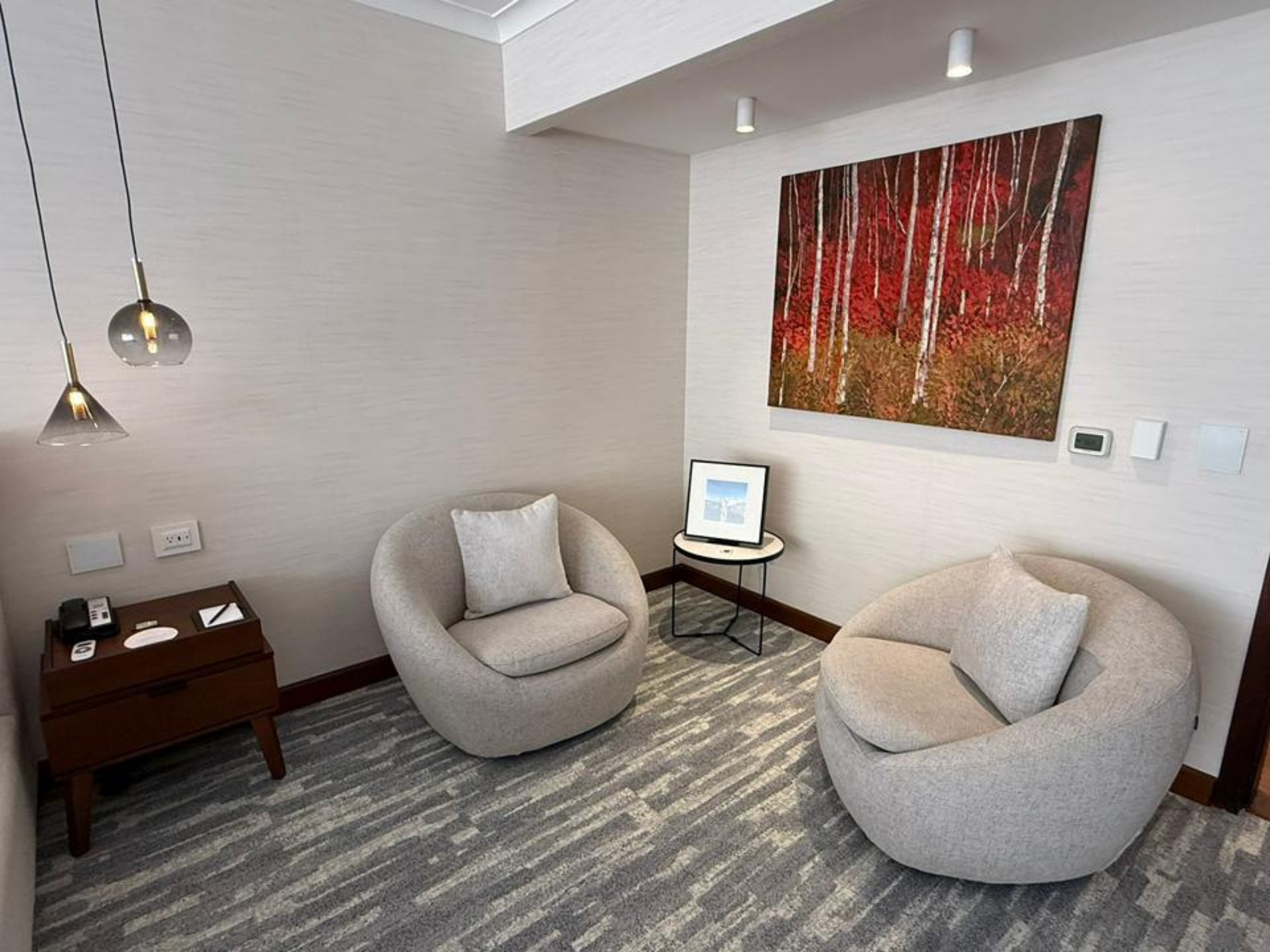 Presidential Suite - Room