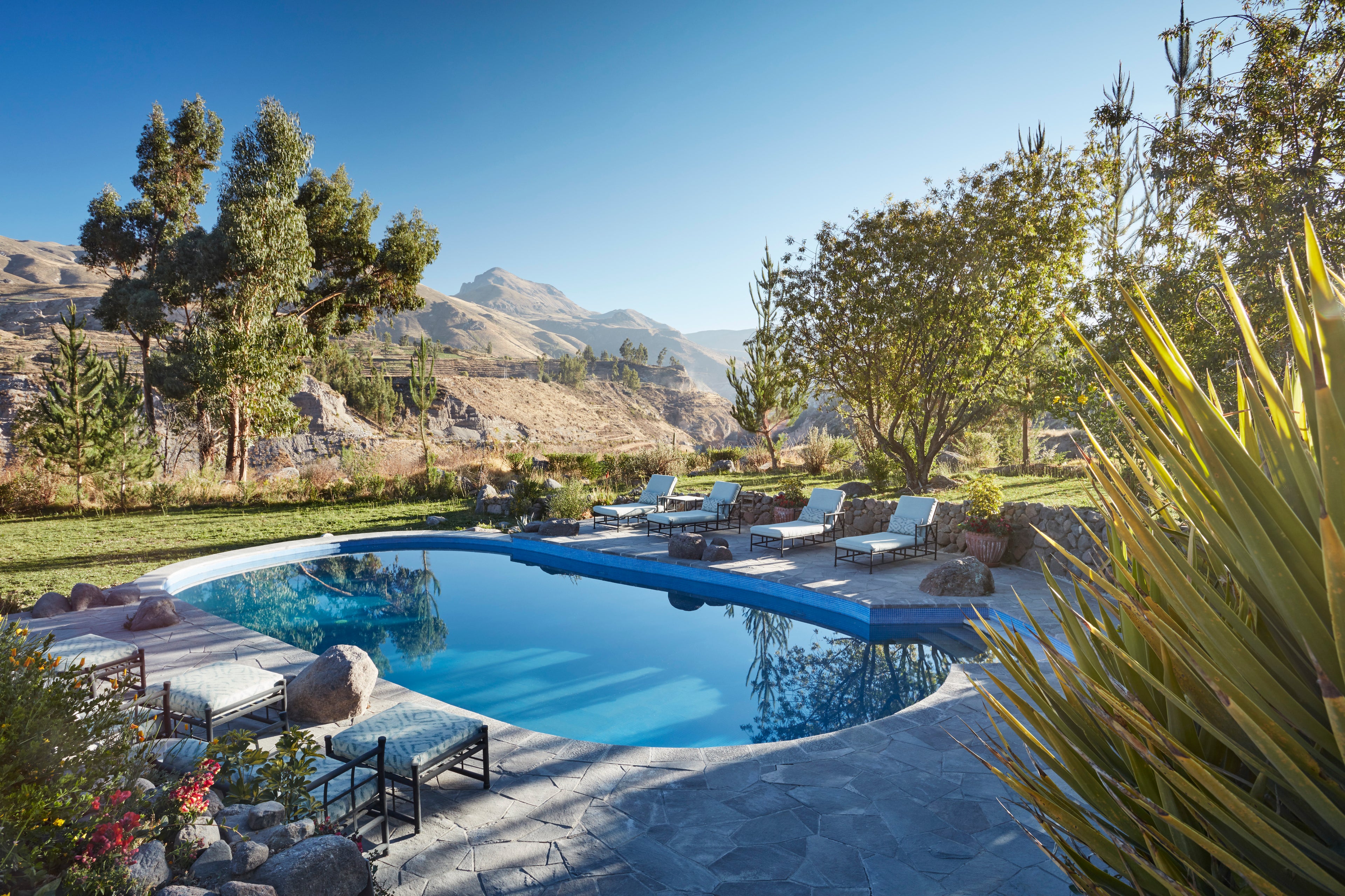 Pool Views