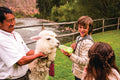 Rio Sagrado, A Belmond Hotel, Sacred Valley : Taking care of our hotel pets.