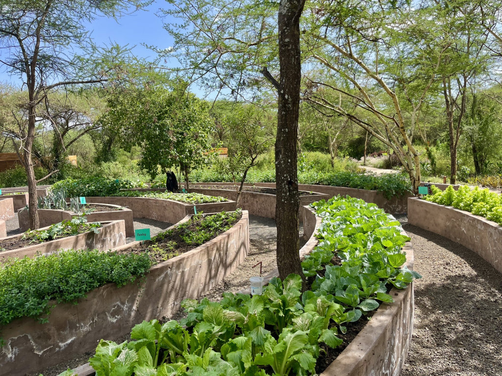Organic Garden
