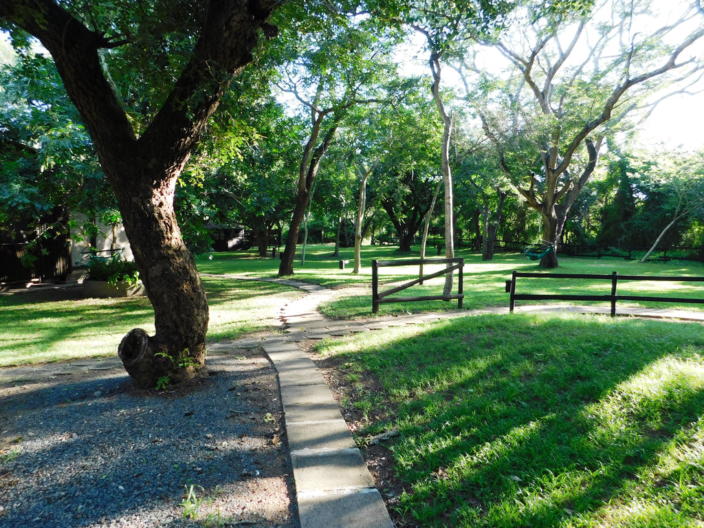 Camping area