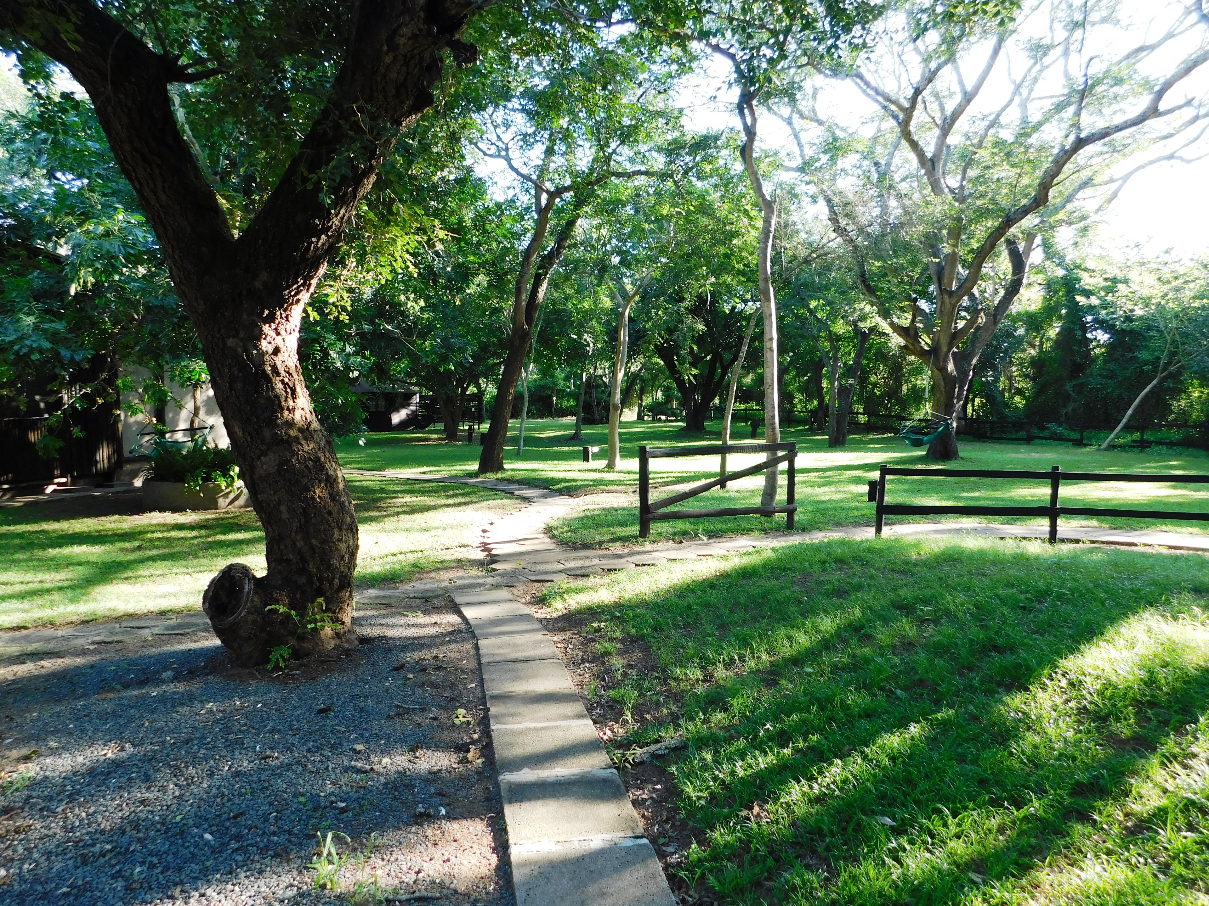 Camping area