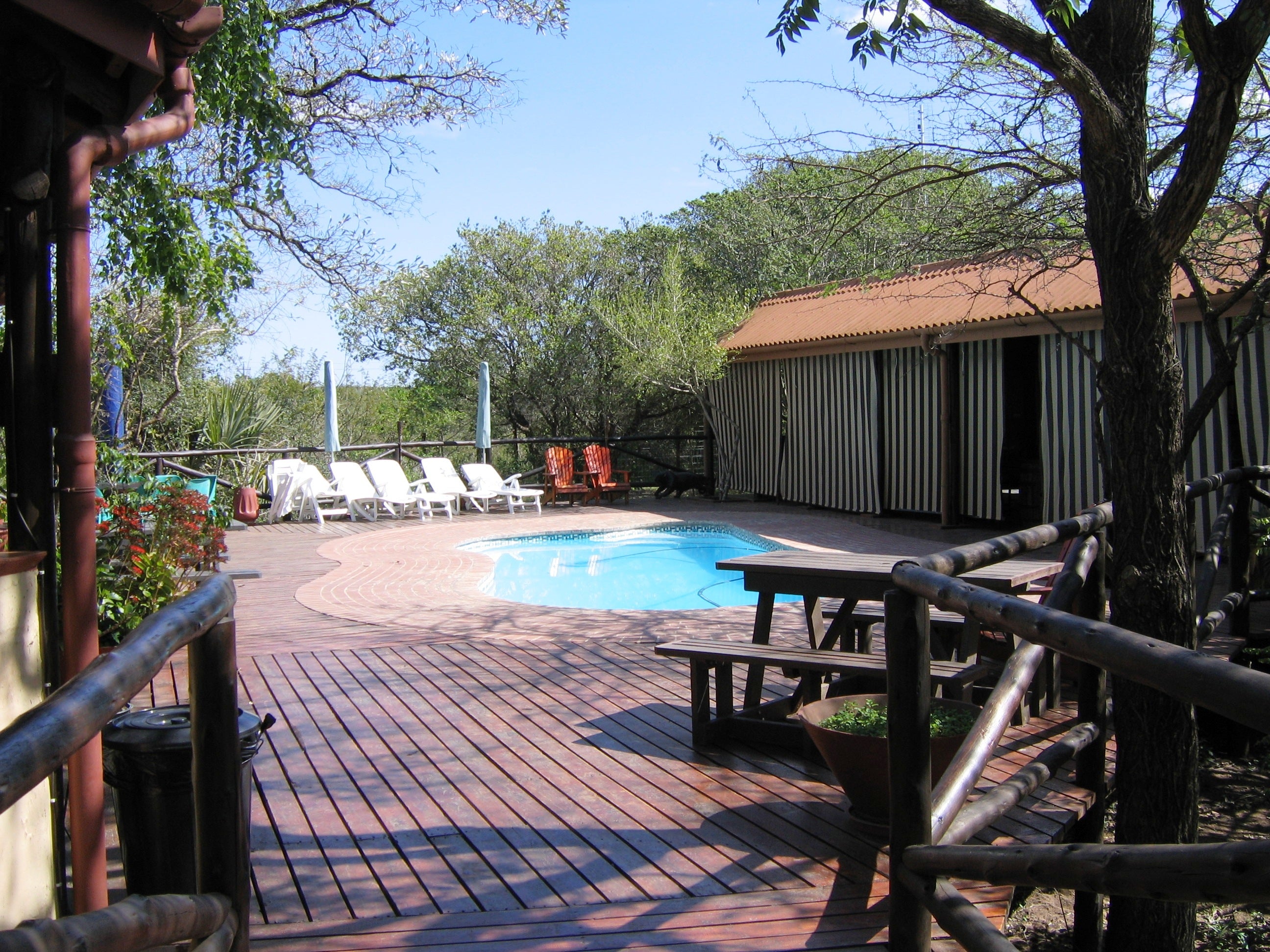 Swimmingpool