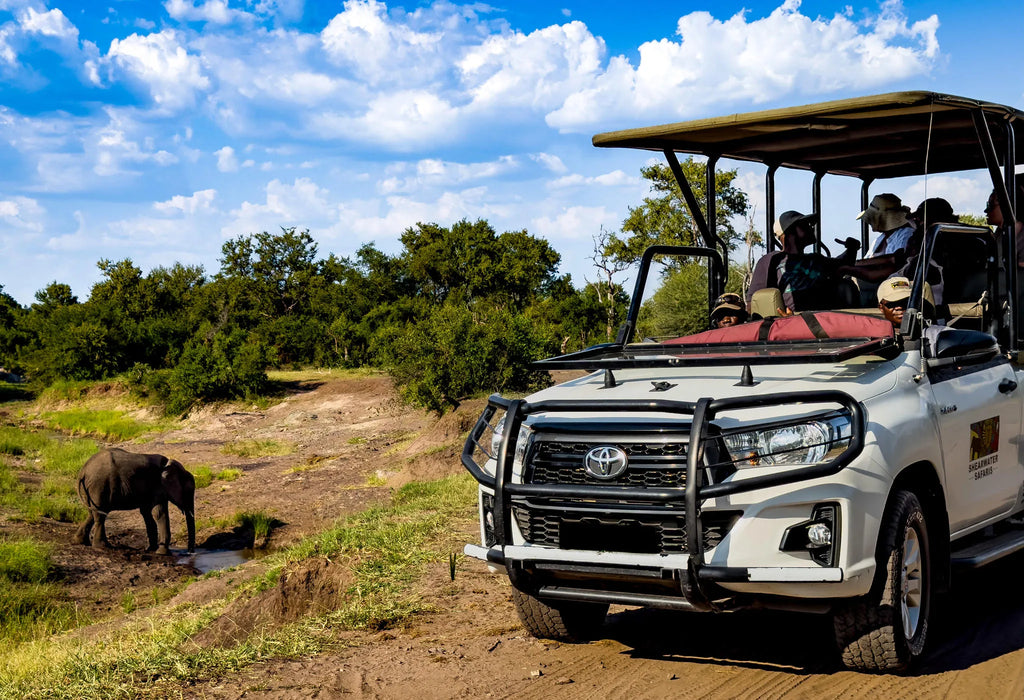 Game Drives at Game Drives in the Victoria Falls National Parks (Zambezi & Chamabondo), Victoria Falls (Zimbabwe), Zimbabwe.