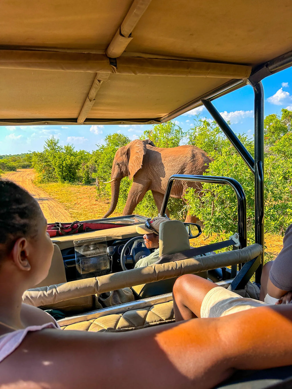 Game Drives at Game Drives in the Victoria Falls National Parks (Zambezi & Chamabondo), Victoria Falls (Zimbabwe), Zimbabwe.