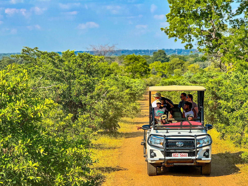 Game Drives at Game Drives in the Victoria Falls National Parks (Zambezi & Chamabondo), Victoria Falls (Zimbabwe), Zimbabwe.