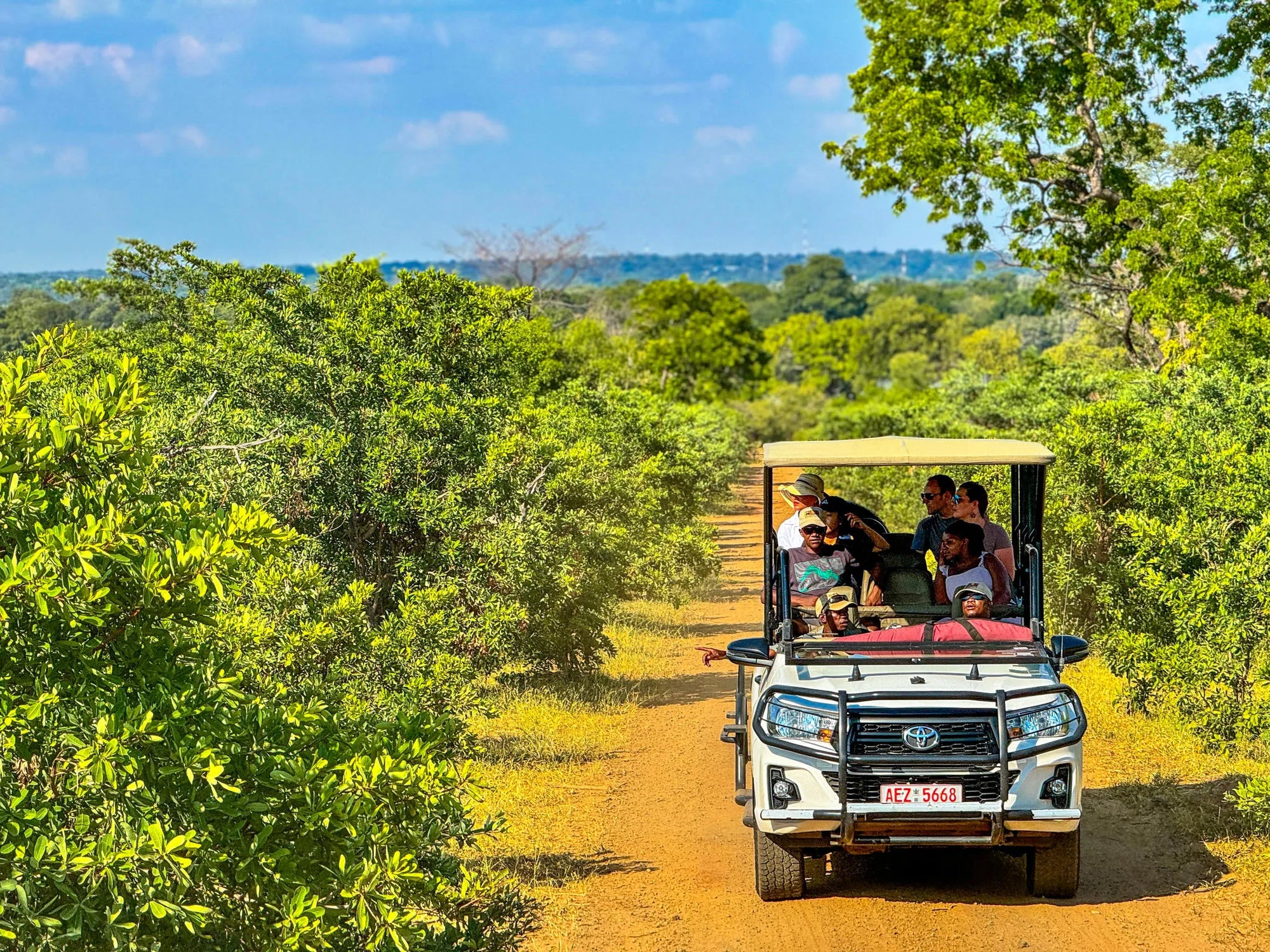 Game Drives at Game Drives in the Victoria Falls National Parks (Zambezi & Chamabondo), Victoria Falls (Zimbabwe), Zimbabwe.