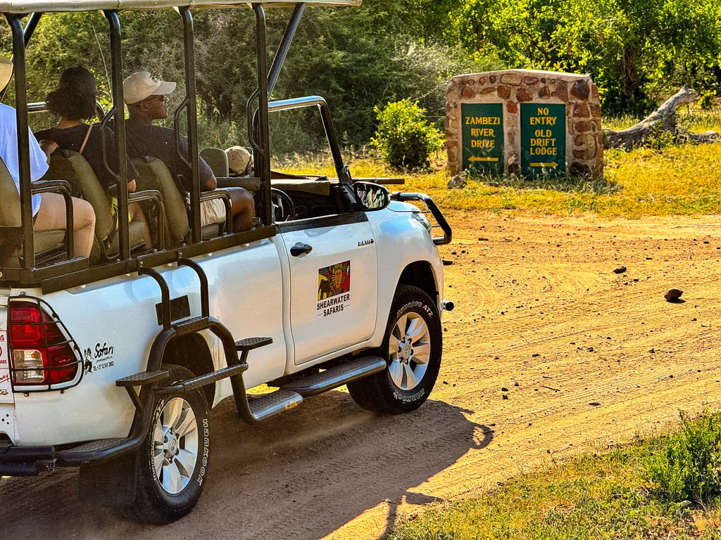 Game Drives at Game Drives in the Victoria Falls National Parks (Zambezi & Chamabondo), Victoria Falls (Zimbabwe), Zimbabwe.