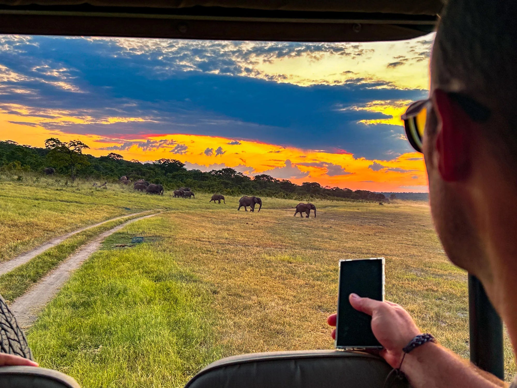 Game Drives at Game Drives in the Victoria Falls National Parks (Zambezi & Chamabondo), Victoria Falls (Zimbabwe), Zimbabwe.
