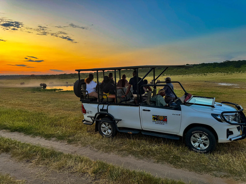 Game Drives at Game Drives in the Victoria Falls National Parks (Zambezi & Chamabondo), Victoria Falls (Zimbabwe), Zimbabwe.