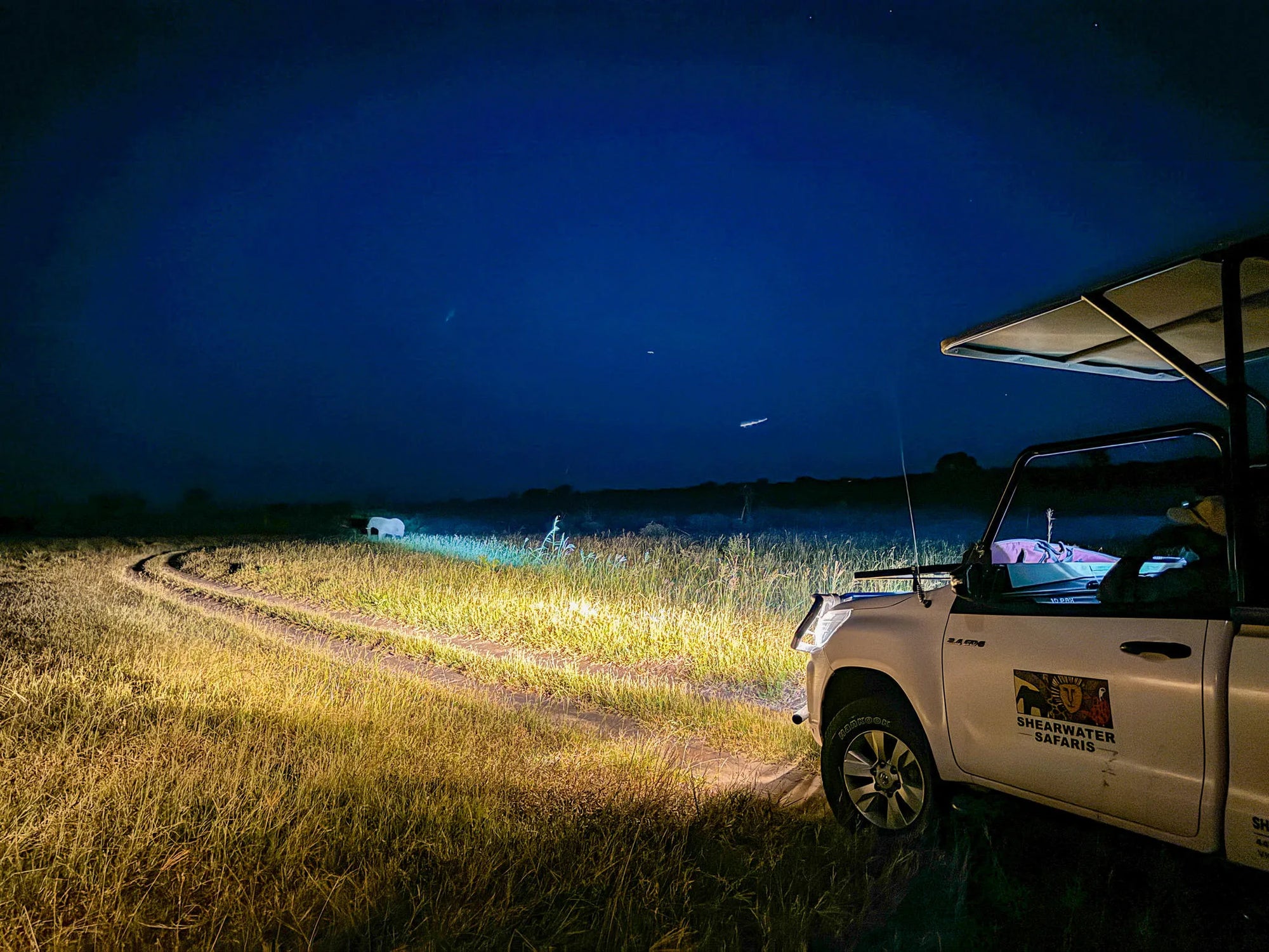 Game Drives at Game Drives in the Victoria Falls National Parks (Zambezi & Chamabondo), Victoria Falls (Zimbabwe), Zimbabwe.
