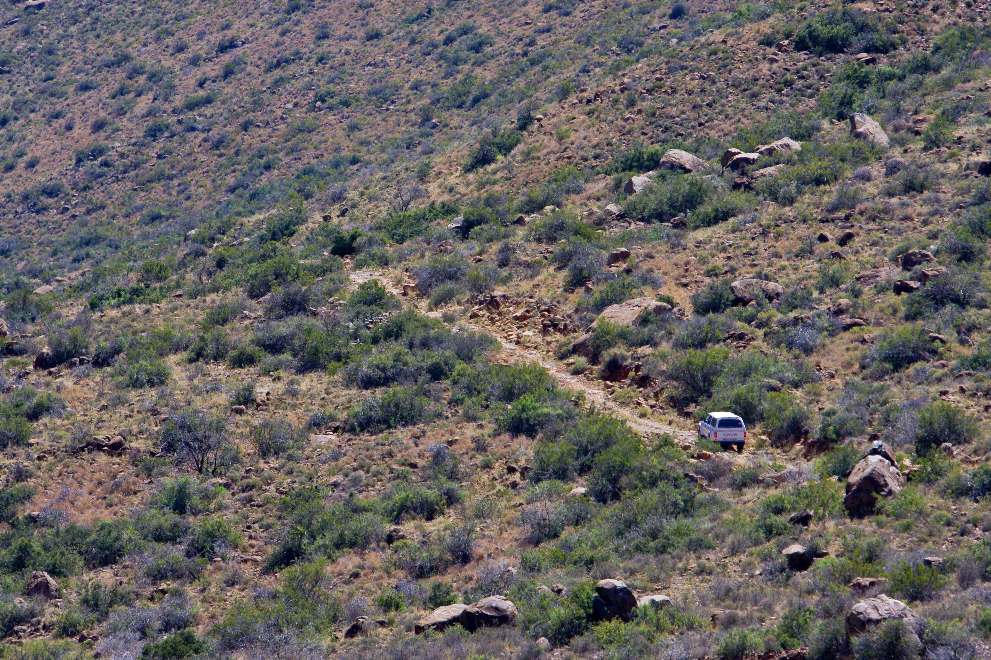 Karoo National Park Rest Camp