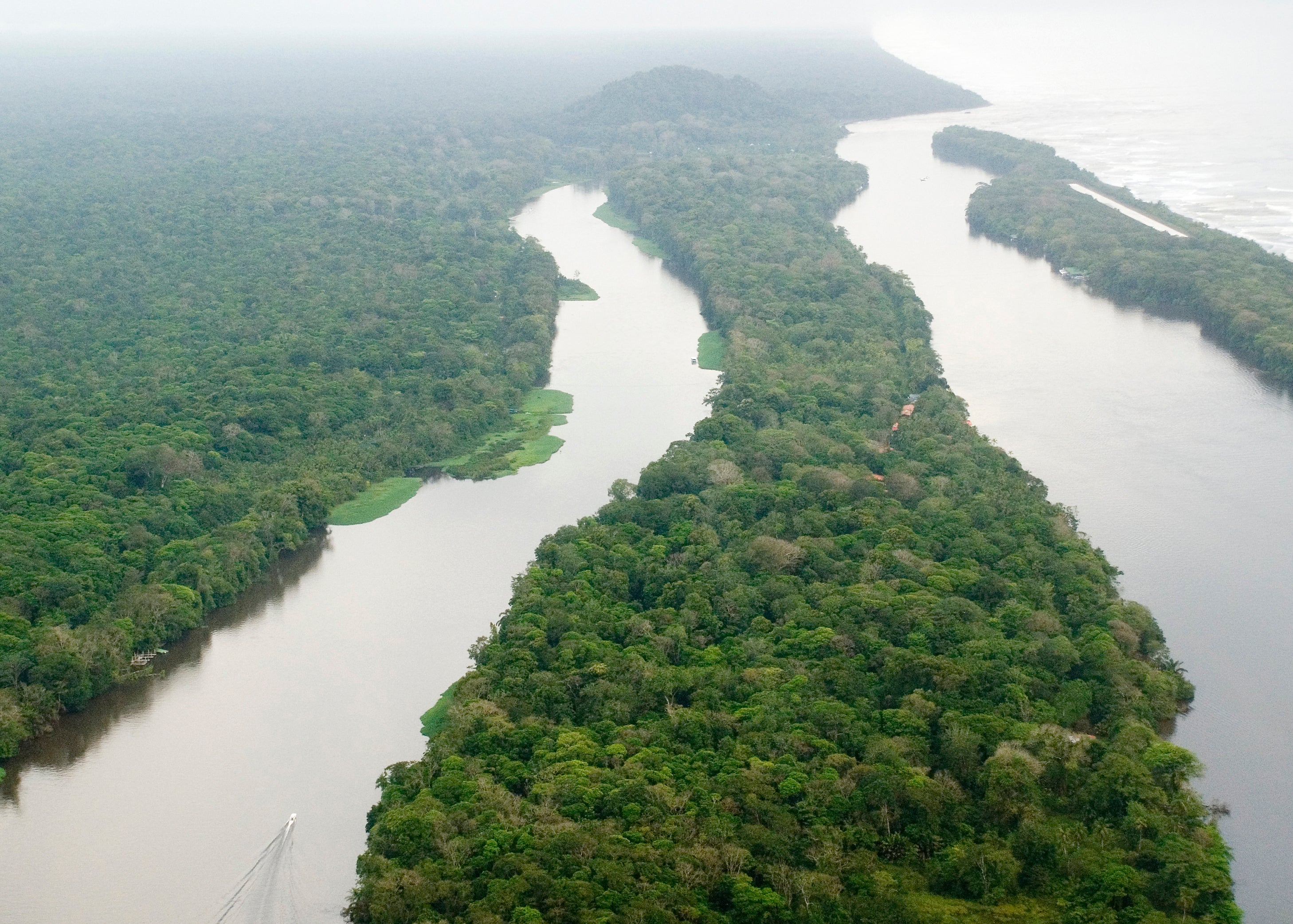 Tortuguero Canals