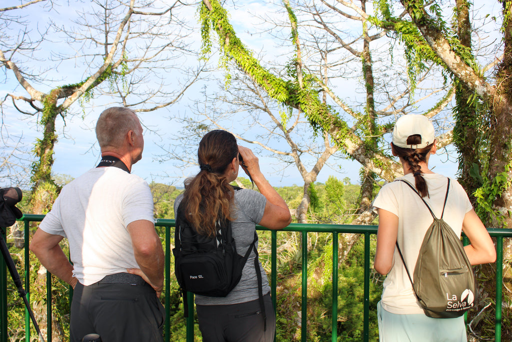 Observation Tower