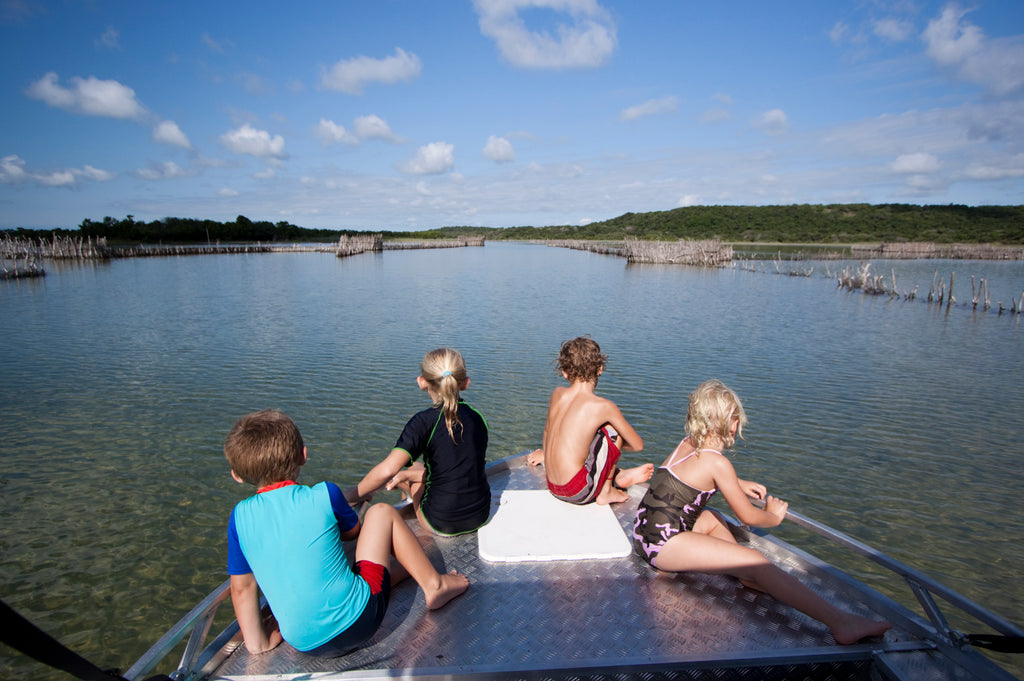Boat trip on the lakes
