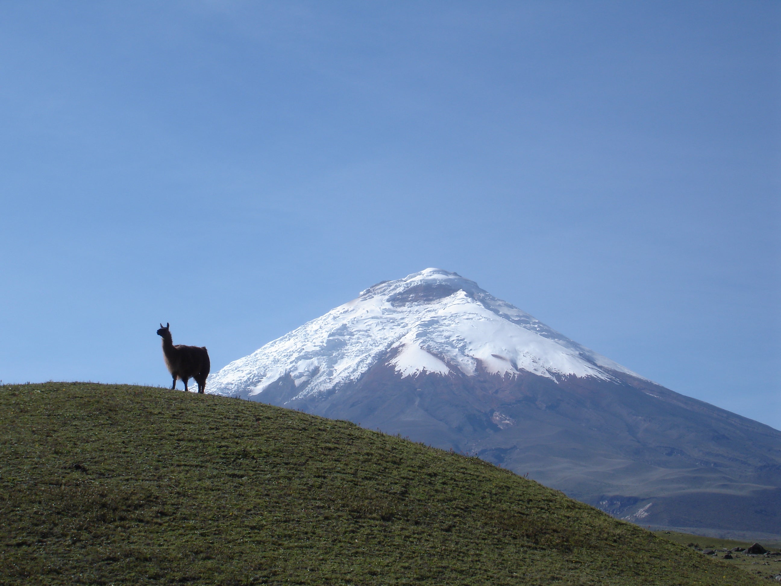 Chilcabamba Trekings and Climbing Cotopaxi