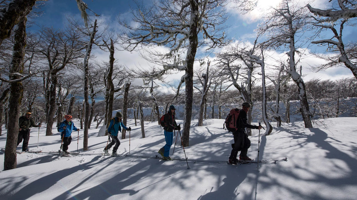 Snowshoeing