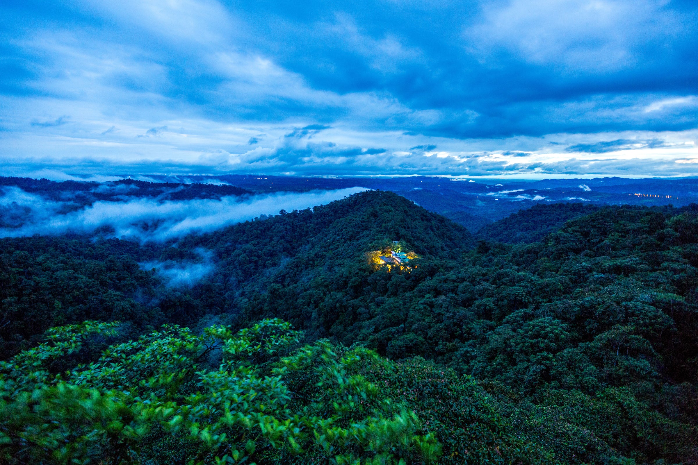 Mashpi Biodiversity Reserve