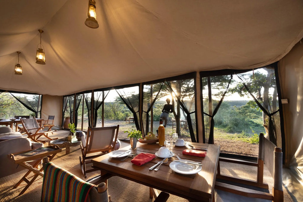 Basecamp Wilderness at Basecamp Wilderness, Mara Naboisho Conservancy, Kenya.