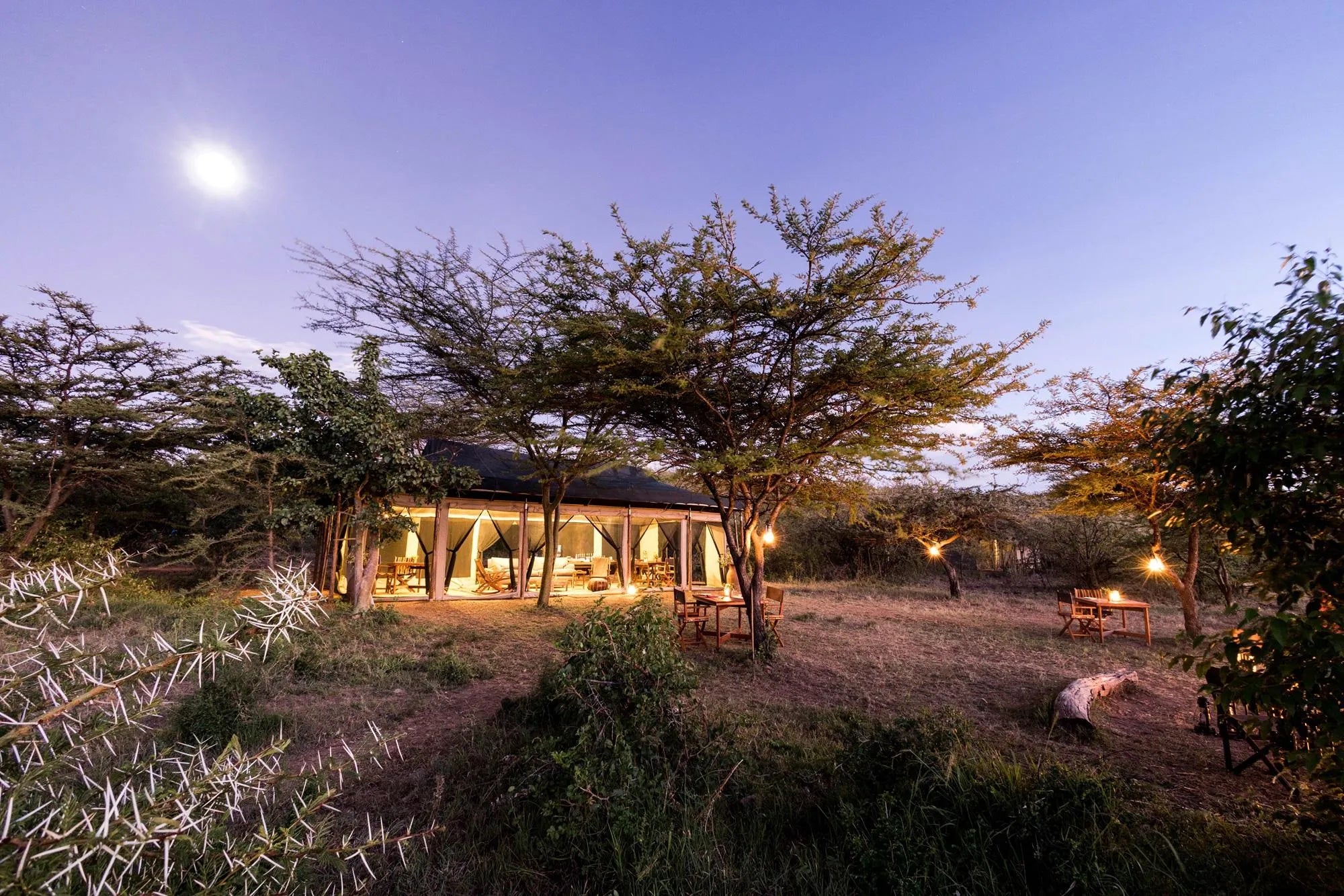 Basecamp Wilderness at Basecamp Wilderness, Mara Naboisho Conservancy, Kenya.