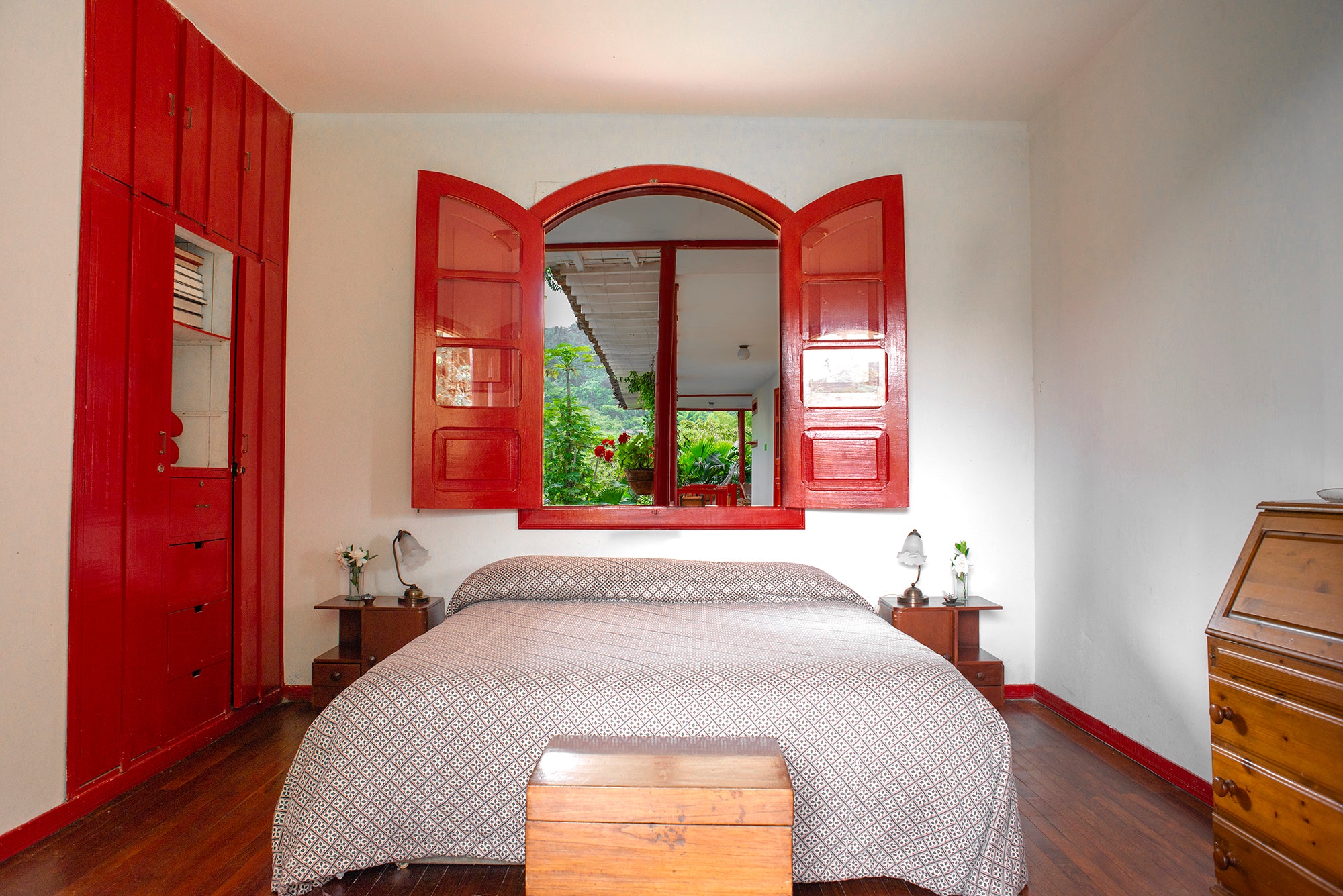 Hacienda Venecia : Motmot