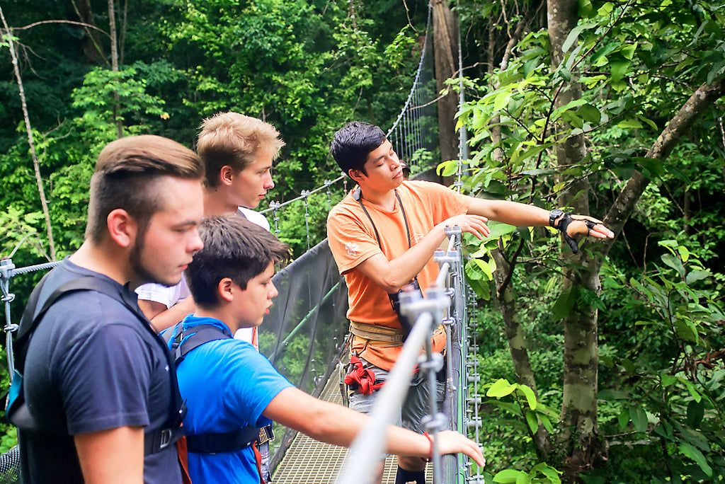 Hanging Bridges & Trails - Included