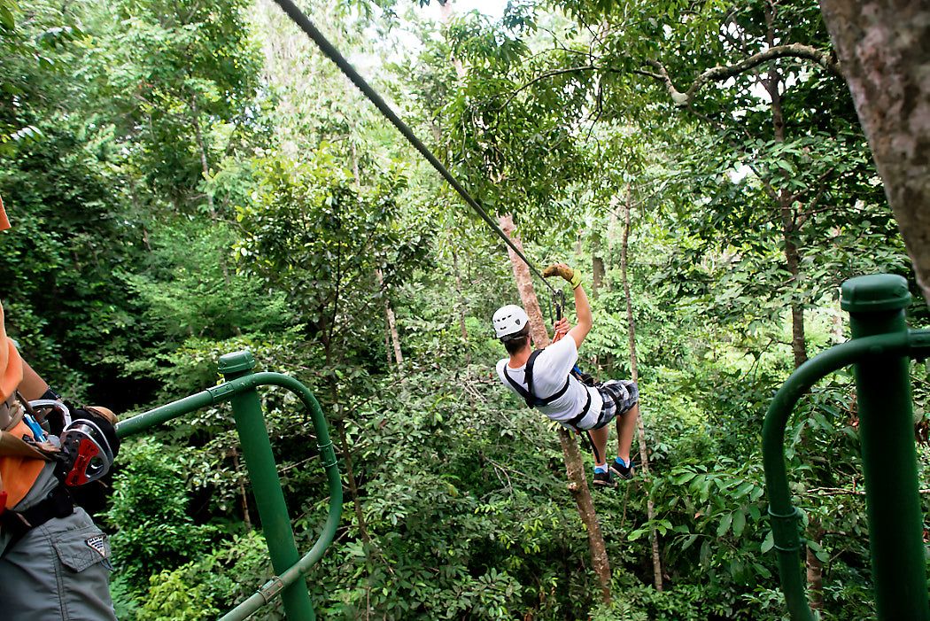 Canopy Observation & Zip Line Tour  - On Site Not Included