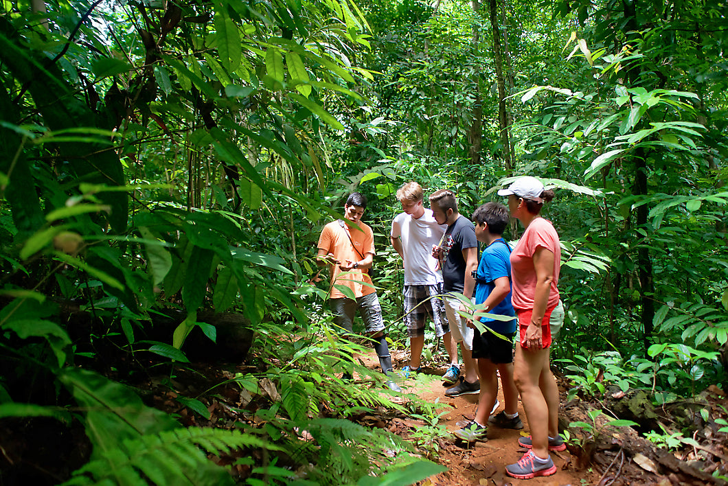 Onsite Guided Walks Are Included with your stay