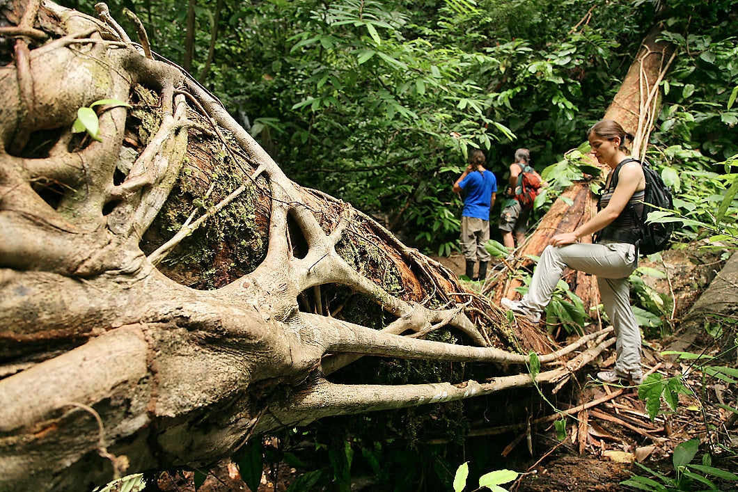 Onsite Guided Walks Are Included with your stay