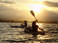 Golfo Dulce Mangrove & Sunset Kayak - Not Included
