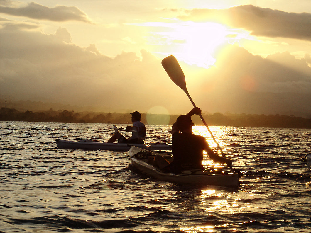 Golfo Dulce Mangrove & Sunset Kayak - Not Included
