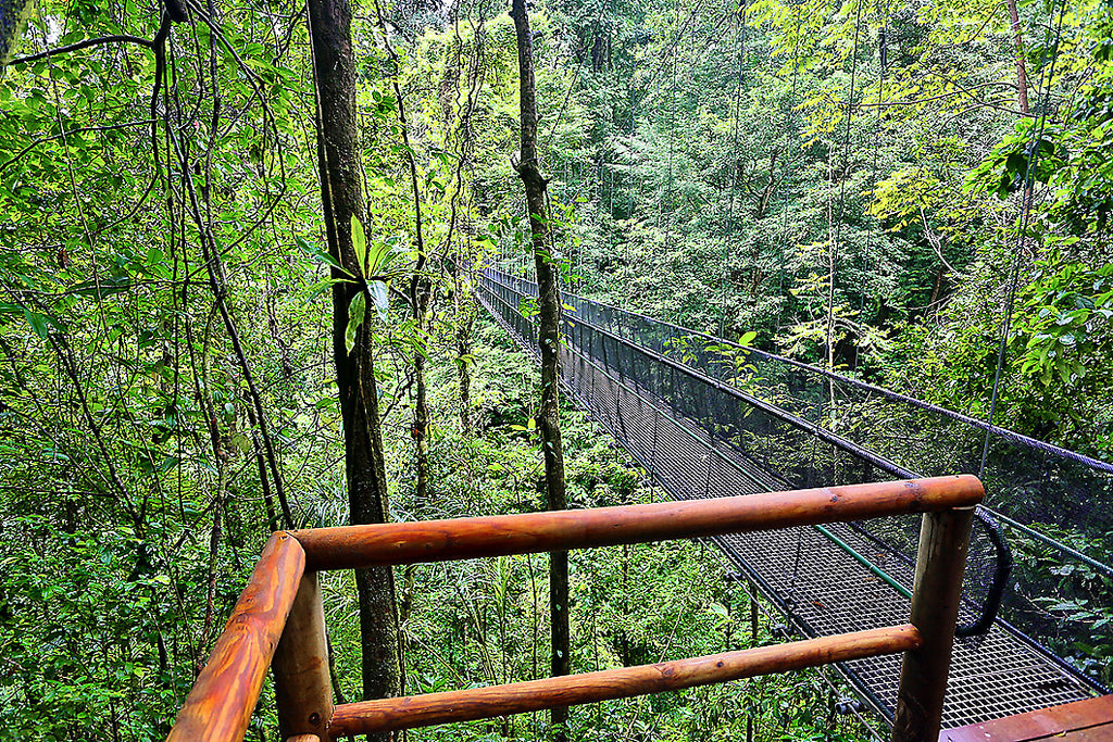 Hanging Bridges & Trails - Included