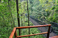Hanging Bridges & Trails - Included