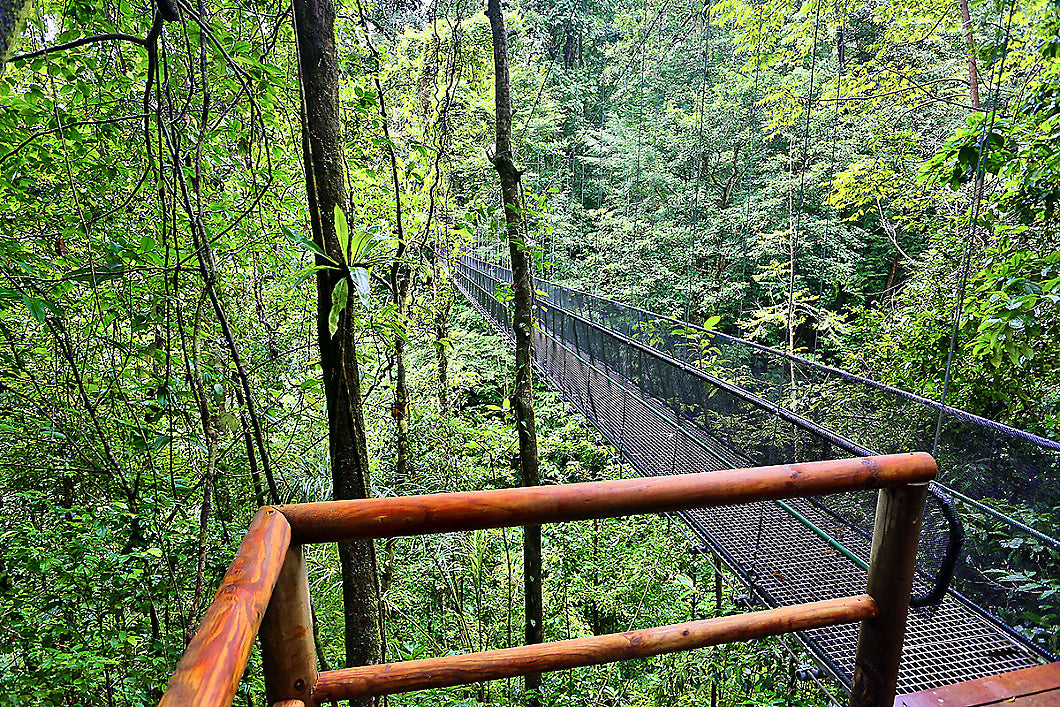 Hanging Bridges & Trails - Included