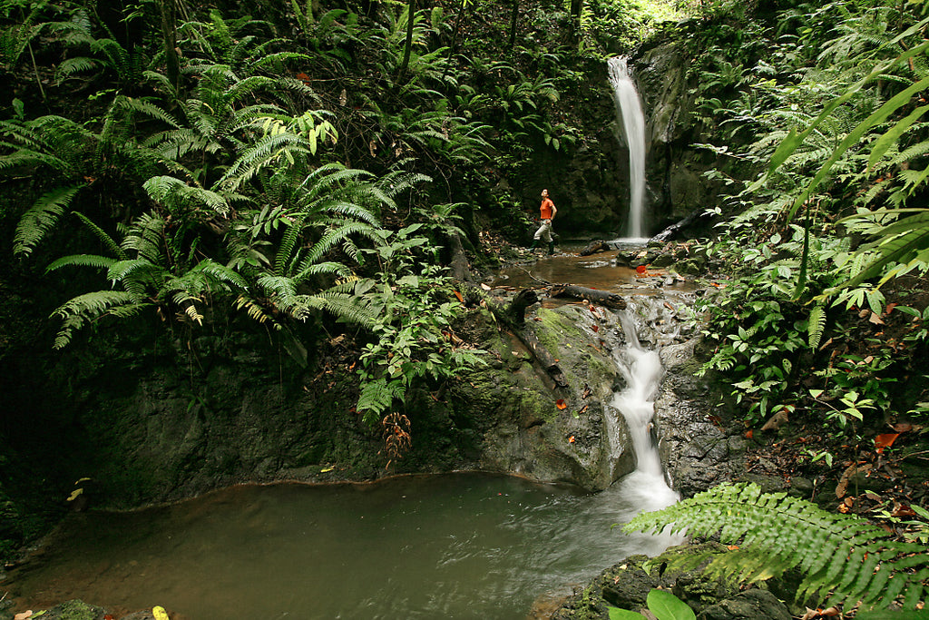 Onsite Guided Walks Are Included with your stay