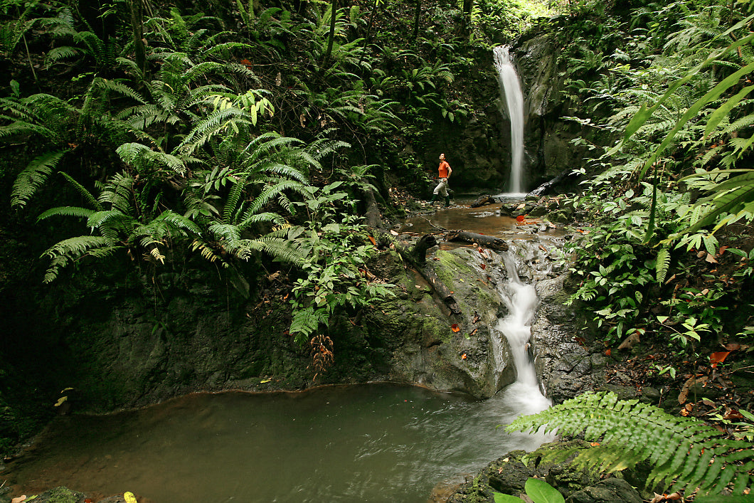 Onsite Guided Walks Are Included with your stay