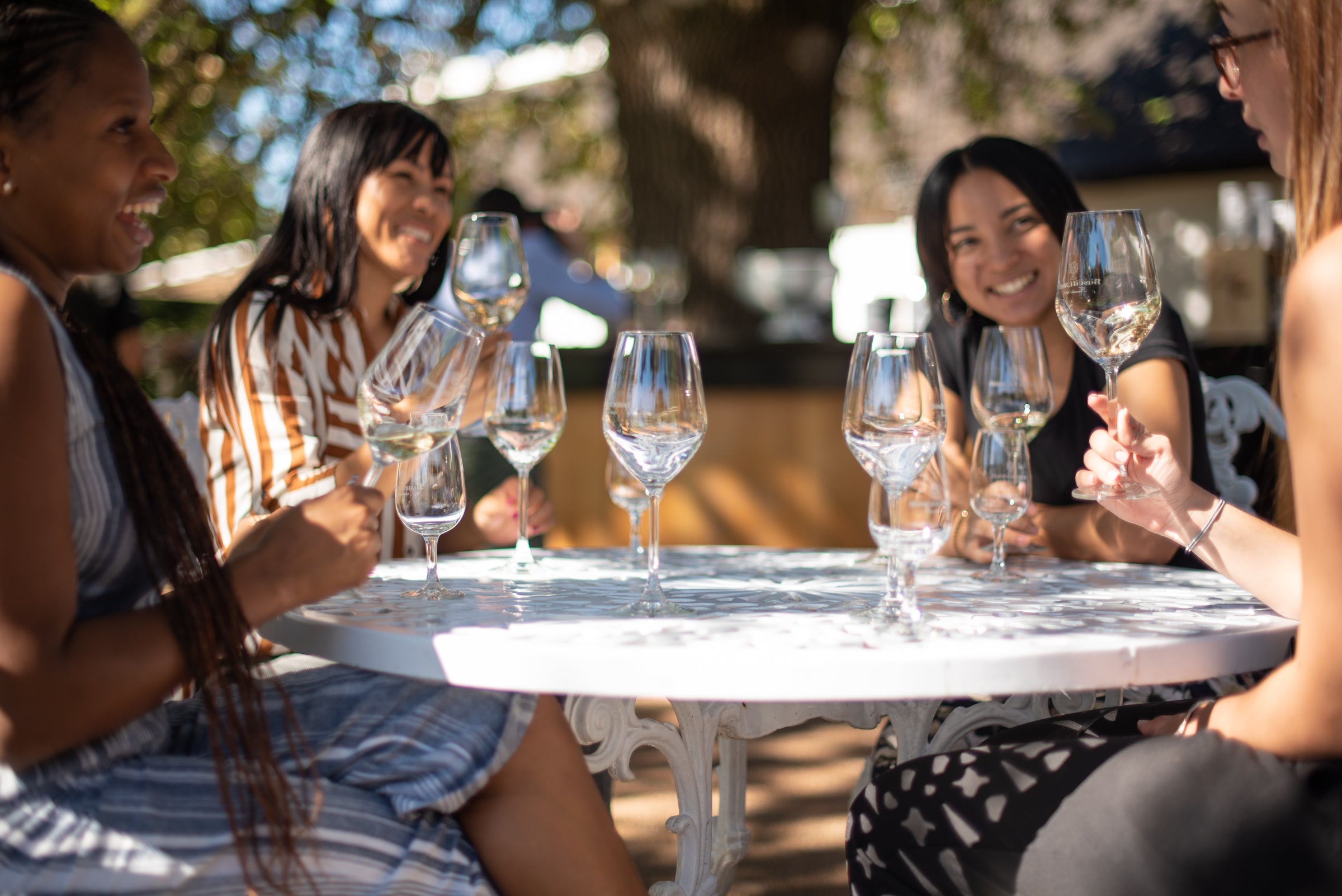 Wine Tasting @Boschendal