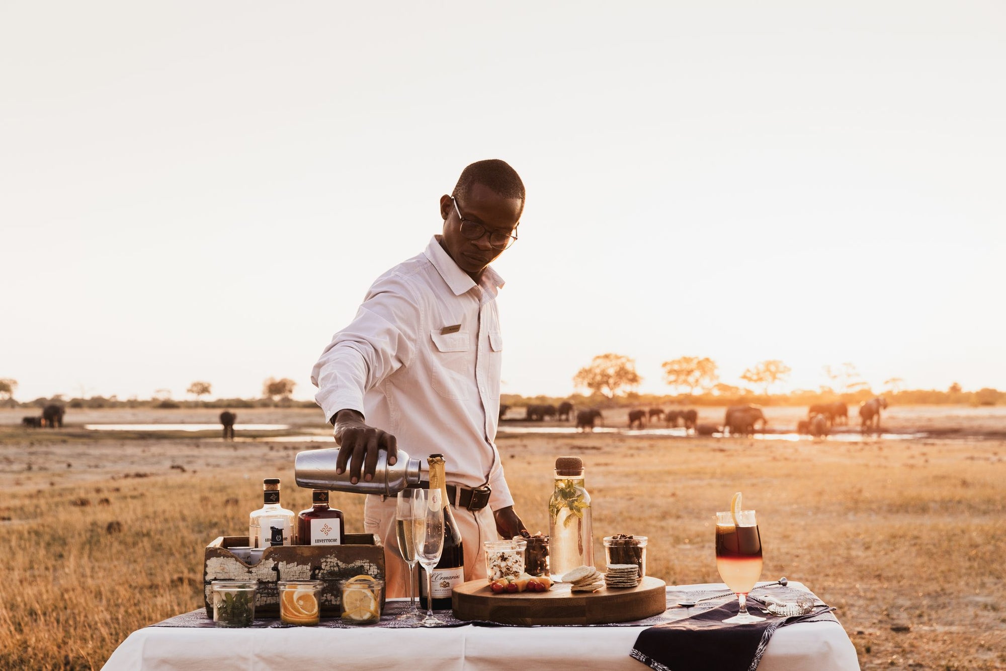 Wilderness Linkwasha – Night Drives