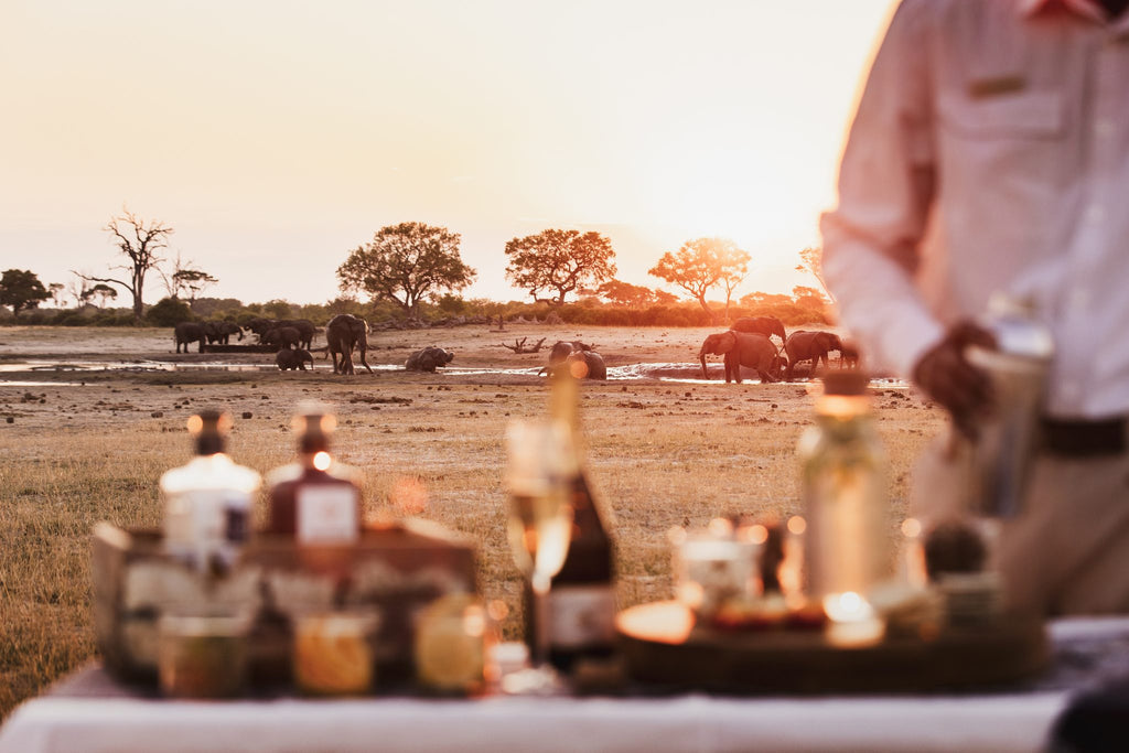 Wilderness Linkwasha – Night Drives
