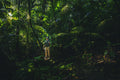 Trails