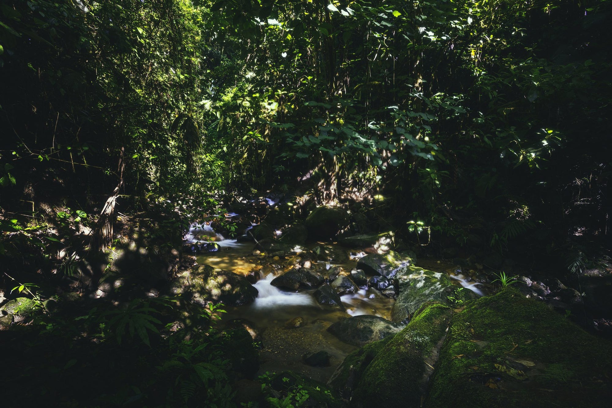 Trails