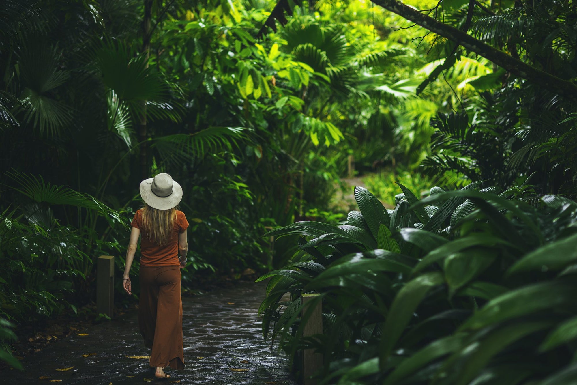 Trails