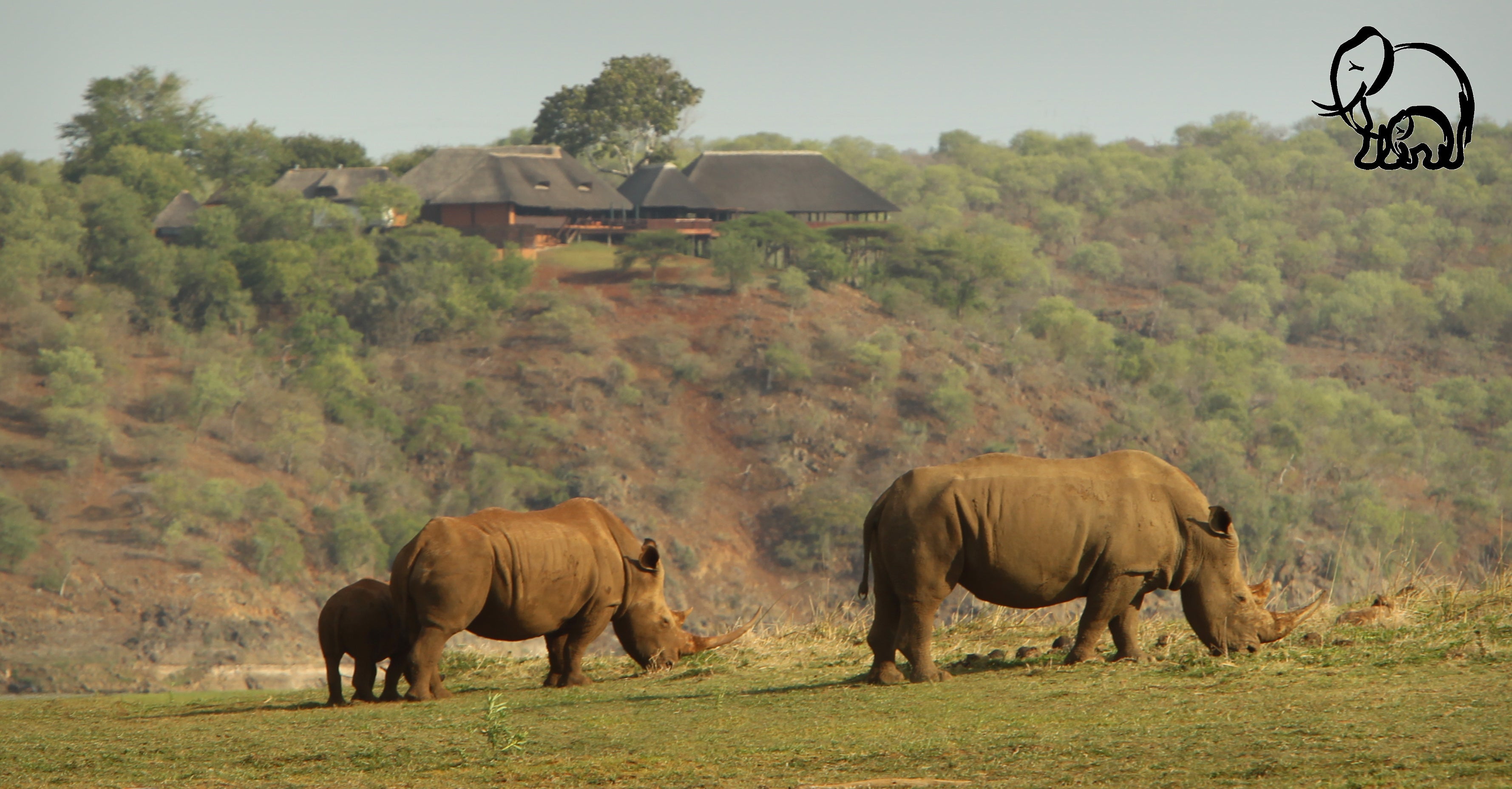 Nkwazi Lake Lodge