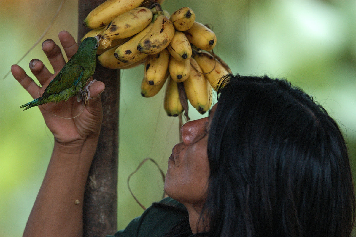 Huaorani Eco Lodge