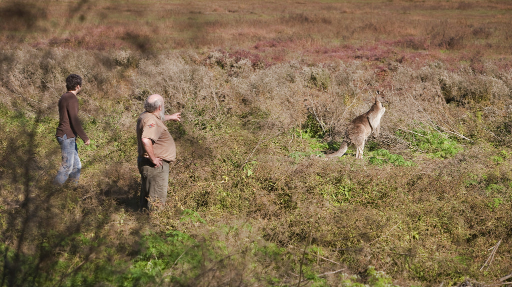 Tower Hill Wildlife Reserve
