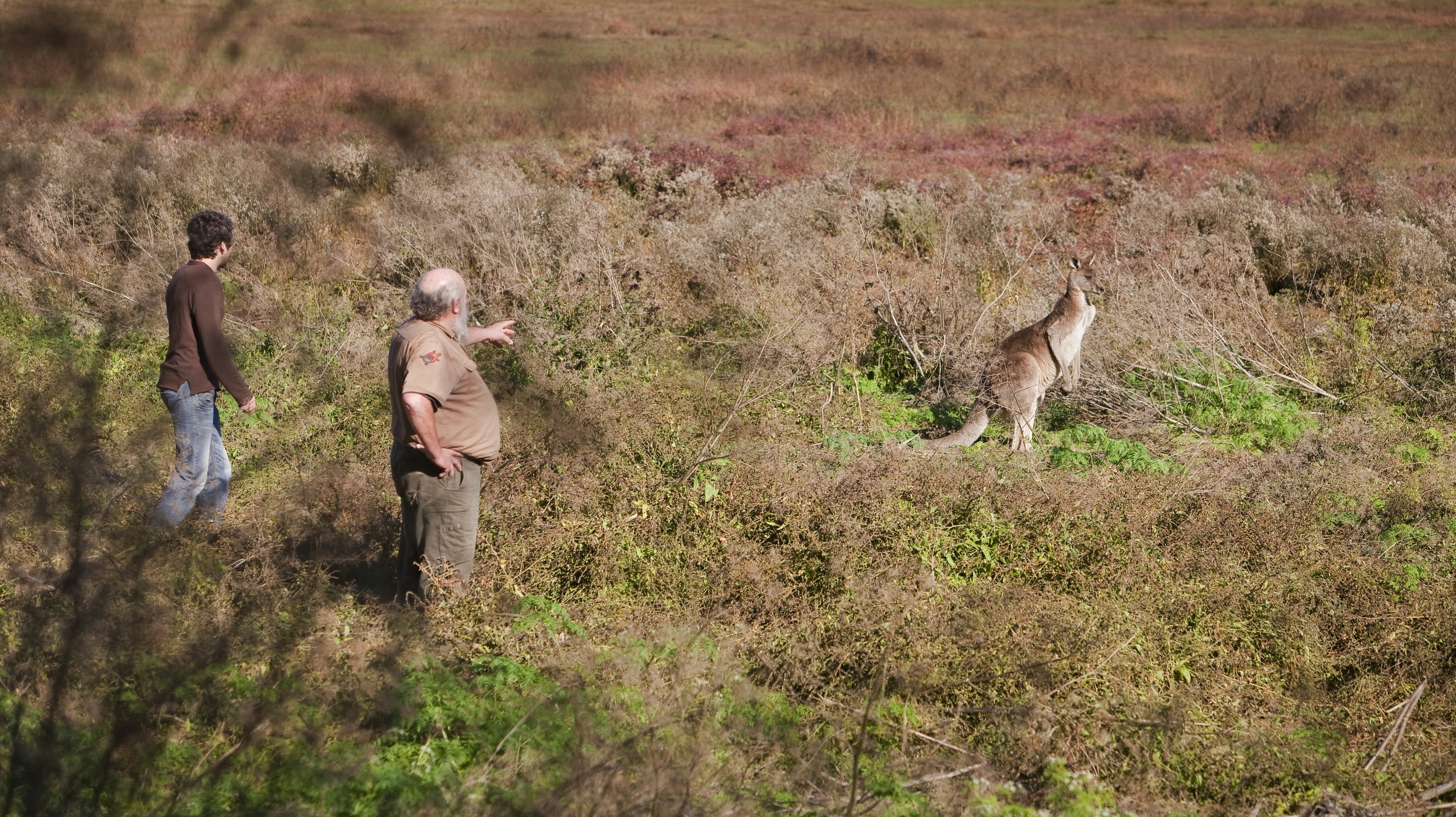Tower Hill Wildlife Reserve
