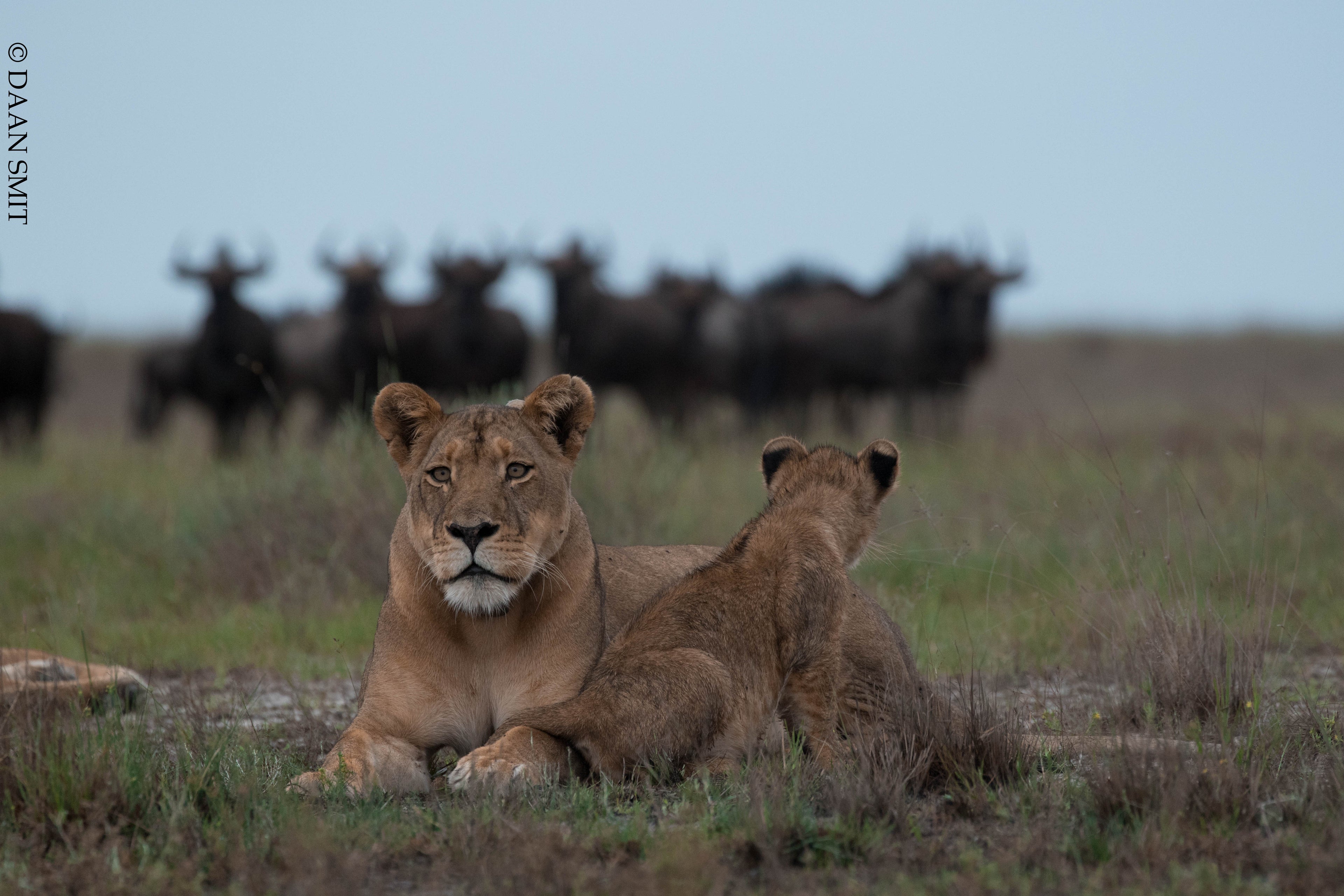 King Lewanika Lodge