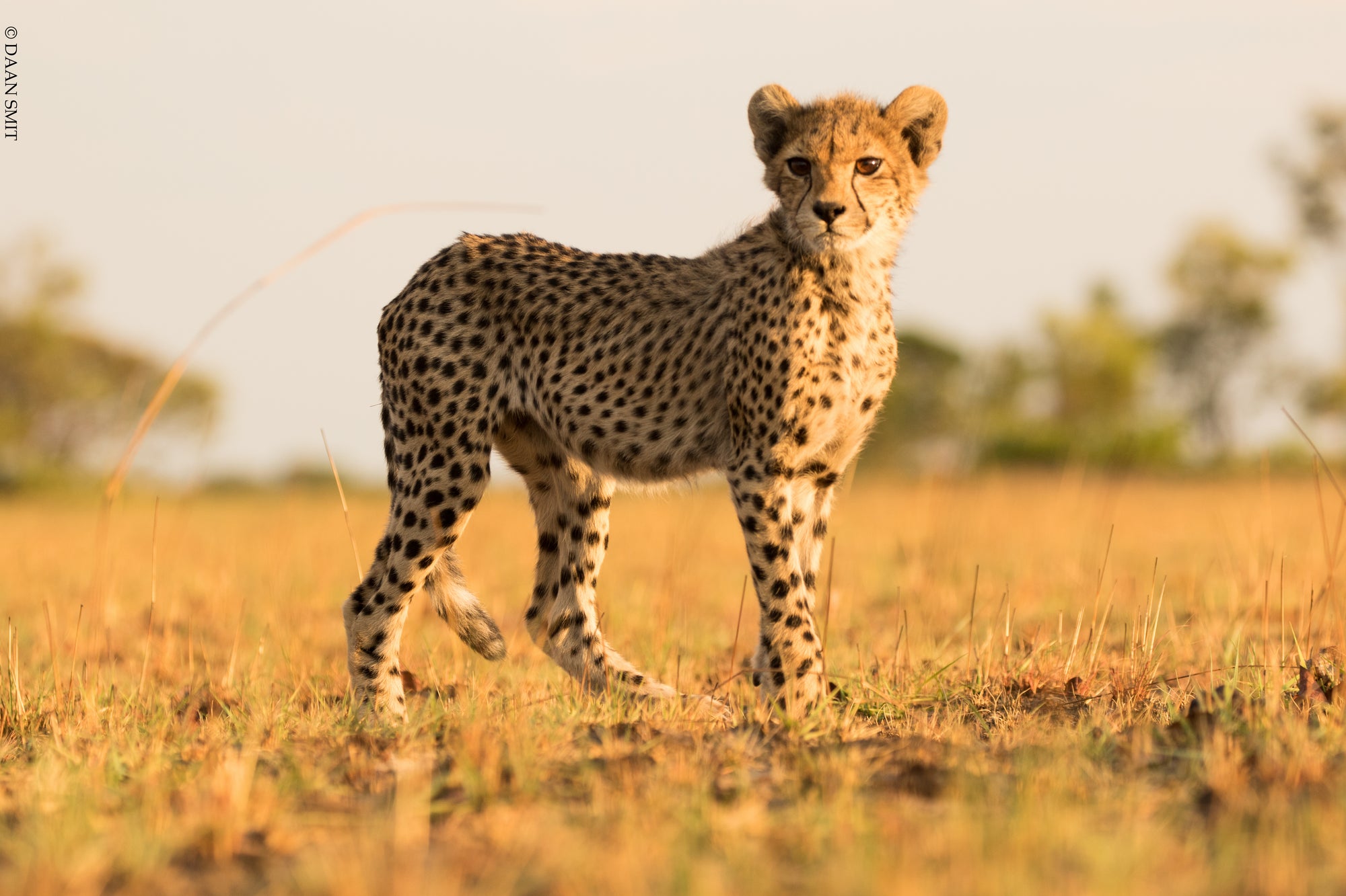King Lewanika Lodge
