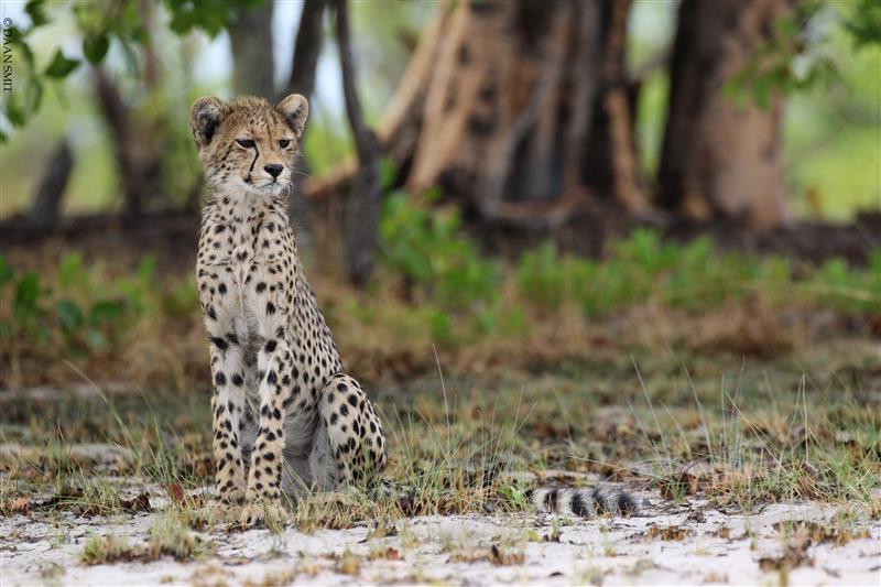 King Lewanika Lodge